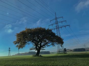 Low angle view of trees on field against sky