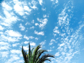 Low angle view of palm tree against blue sky