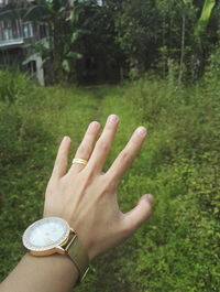 Cropped hand of man wearing wristwatch against plants