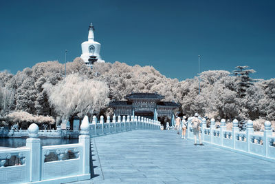 Infrared photography beihai park, beijing, china