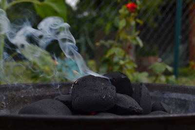 Close-up of metallic object against blurred background