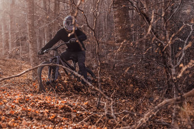 Guy with helmet riding on bicycle in autumn forest between dry leaves and trees