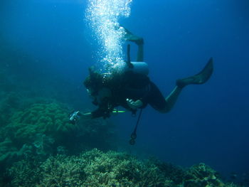 Man scuba diving in sea