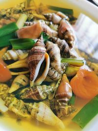 Sea shells soup