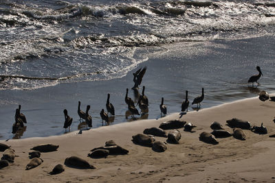 High angle view of people on beach