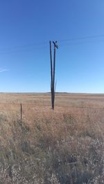 Wind turbines on field against clear blue sky