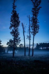 Silhouette trees on field against sky