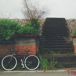 Brick wall with brick wall