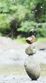 Close-up of stones on rock in water