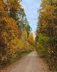 Road amidst trees during autumn