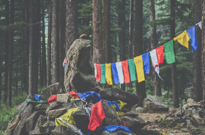 Multi colored prayer flags on tree trunk in forest