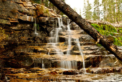 Scenic view of waterfall in forest