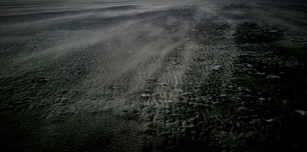 High angle view of road amidst trees on field
