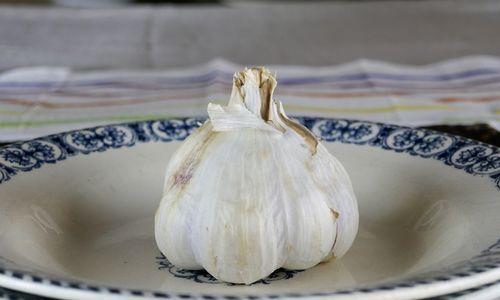 Close-up of garlic in plate