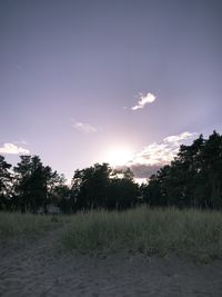 Trees on field against sky during sunset