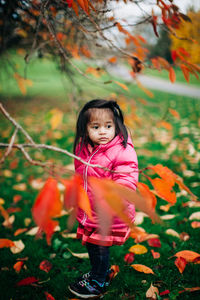 Portrait of cute girl with autumn leaves on land