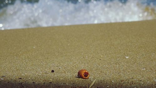 Surface level of sand