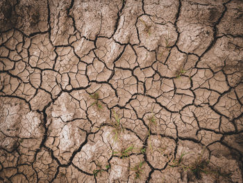 Full frame shot of cracked land