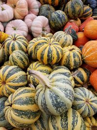 Fall vegetables, colorful pumpkins, squash and gourds at the market.