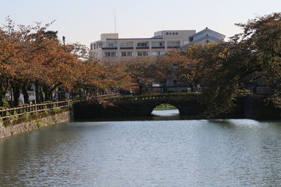 River amidst trees against sky in city