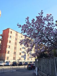 View of road along buildings