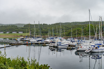 Sailboats moored at harbor against sky