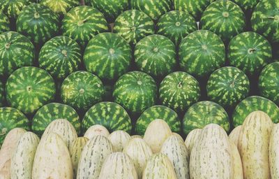 Full frame shot of vegetables