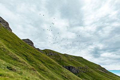 Flock of birds flying over mountain against sky