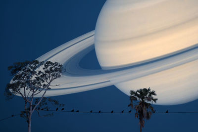 Low angle view of palm tree against blue sky
