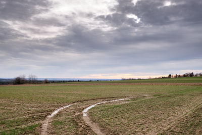 Scenic view of agricultural field against sky