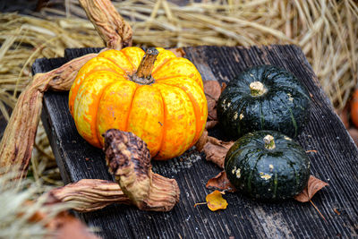 Pumpkins in market during autumn