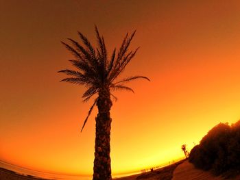 Silhouette palm tree against orange sky