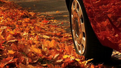 Cropped image of airplane at sunset