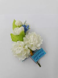 Close-up of white flowers in vase