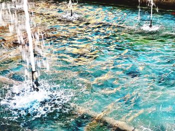 High angle view of water flowing through rocks