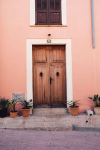 Potted plant outside house