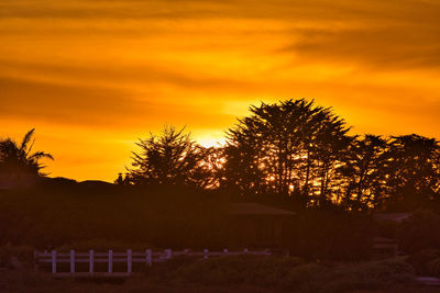 Silhouette trees against sky during sunset