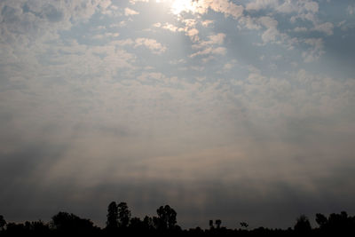 Low angle view of silhouette trees against sky during sunset