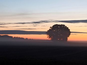 Silhouette tree on field against sky during sunset