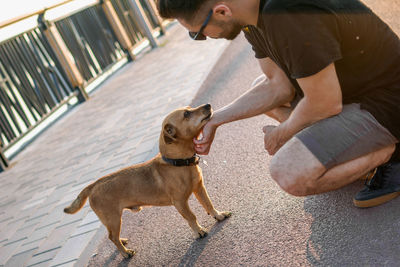 Young handsome man is walking with his dog in the morning on empty street of city.