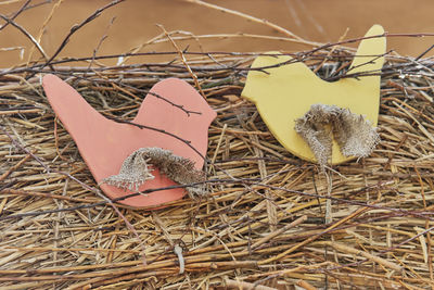 Rustic composition of branches and two colored plywood figurines in form of birds.