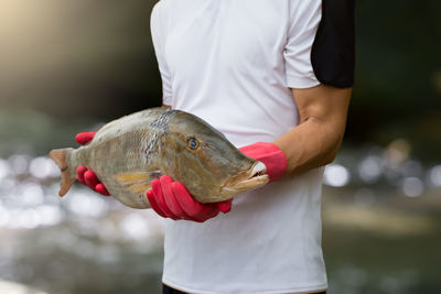 Midsection of man holding fish