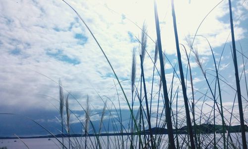 Reflection of clouds in water