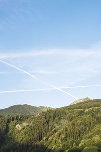 Vapor trail in sky