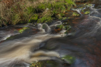 Stream flowing through rocks in forest