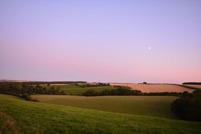 Scenic view of field against clear sky during sunset