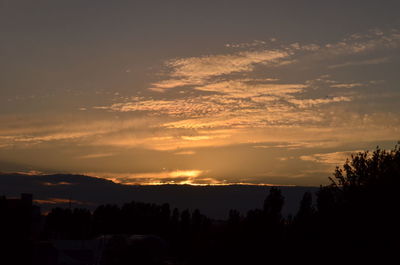 Silhouette trees against dramatic sky during sunset