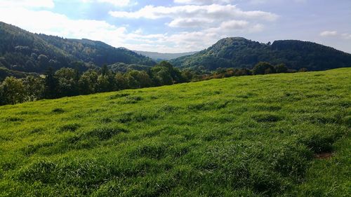 Scenic view of green landscape and mountains against sky