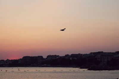 Silhouette bird flying over cityscape against sky during sunset