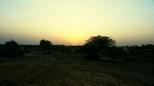 Silhouette trees on field against clear sky during sunset